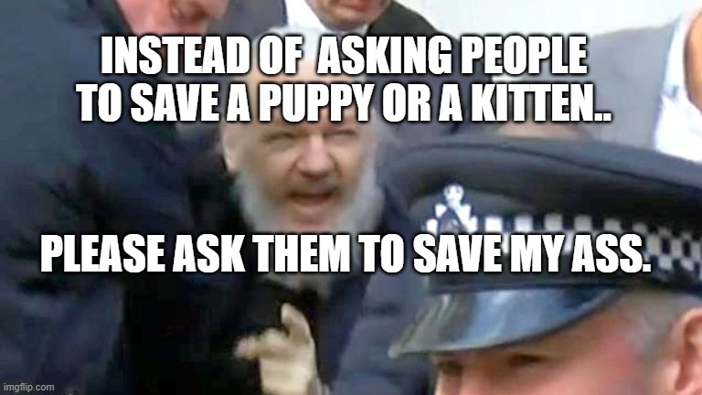 Julian Assange arrested shouting | INSTEAD OF  ASKING PEOPLE TO SAVE A PUPPY OR A KITTEN.. PLEASE ASK THEM TO SAVE MY ASS. | image tagged in julian assange arrested shouting | made w/ Imgflip meme maker
