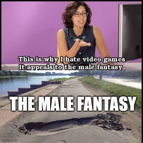 Male Fantasy | THE MALE FANTASY | image tagged in gaming | made w/ Imgflip meme maker