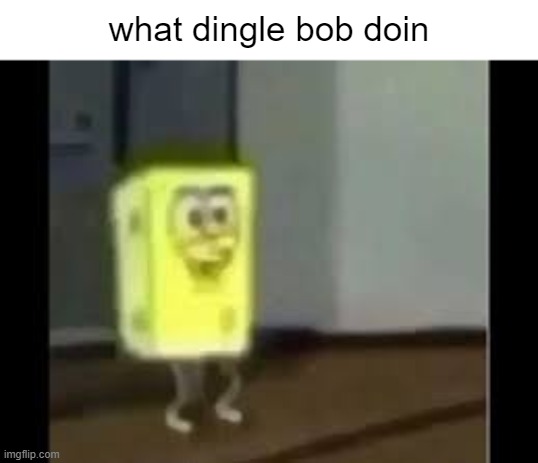 wut | what dingle bob doin | image tagged in dingle | made w/ Imgflip meme maker