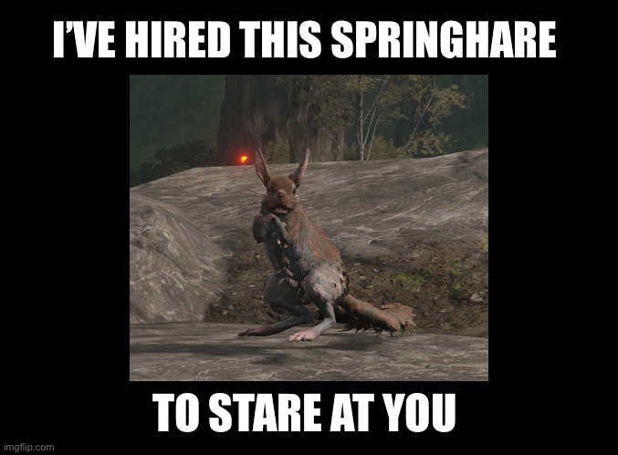 I’ve hired this Springhare to stare at you ( Elden Ring ) | I’VE HIRED THIS SPRINGHARE; TO STARE AT YOU | image tagged in blank black,elden ring,video games,stare,dark souls | made w/ Imgflip meme maker