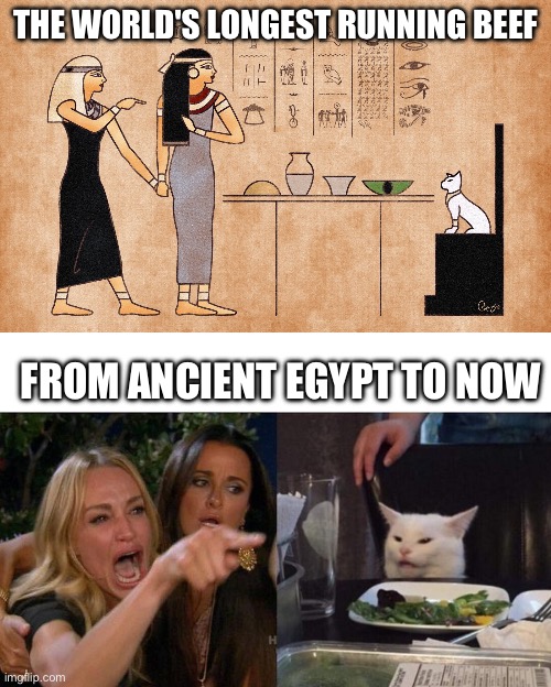 Ancient feud | THE WORLD'S LONGEST RUNNING BEEF; FROM ANCIENT EGYPT TO NOW | image tagged in ancient egyptian memes,memes,woman yelling at cat,beef | made w/ Imgflip meme maker