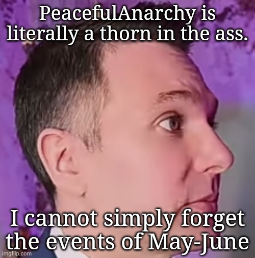 LawByMike Blank Stare | PeacefulAnarchy is literally a thorn in the ass. I cannot simply forget the events of May-June | image tagged in lawbymike blank stare | made w/ Imgflip meme maker