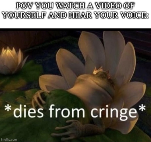 Dies from cringe | POV YOU WATCH A VIDEO OF YOURSELF AND HEAR YOUR VOICE: | image tagged in dies from cringe | made w/ Imgflip meme maker