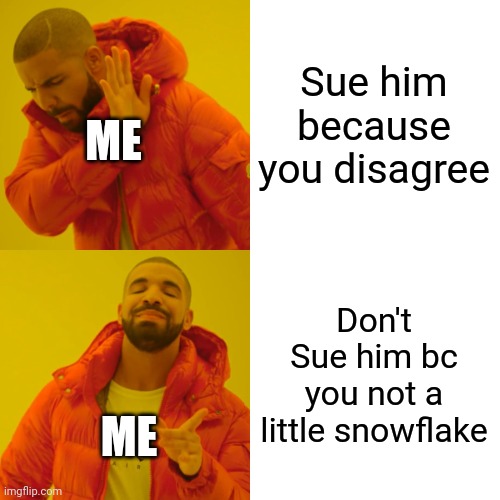 Drake Hotline Bling Meme | Sue him because you disagree Don't Sue him bc you not a little snowflake ME ME | image tagged in memes,drake hotline bling | made w/ Imgflip meme maker