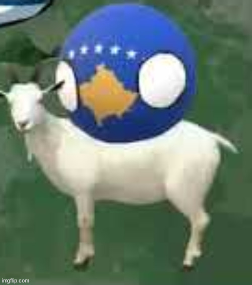 kosovo on goat | image tagged in kosovo on goat | made w/ Imgflip meme maker
