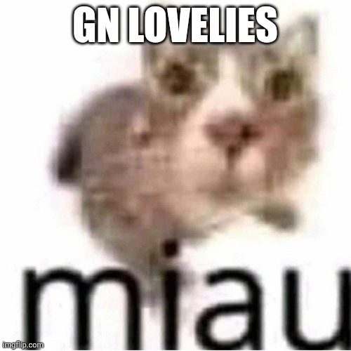 miau | GN LOVELIES | image tagged in gn,lovelies,love all of you,except pluck,/j luv u 2 | made w/ Imgflip meme maker