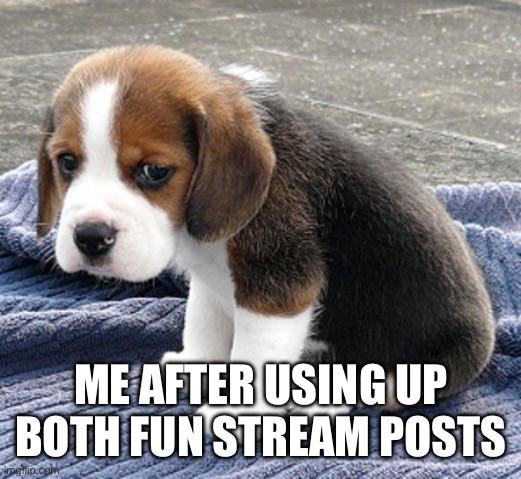 Watch this get two upvotes | ME AFTER USING UP BOTH FUN STREAM POSTS | image tagged in sad dog | made w/ Imgflip meme maker