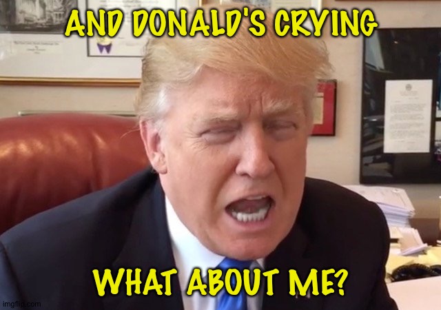 trump crying | AND DONALD'S CRYING WHAT ABOUT ME? | image tagged in trump crying | made w/ Imgflip meme maker
