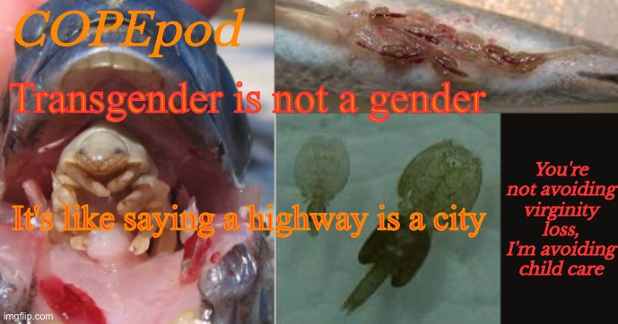 COPEpod's announcement template | Transgender is not a gender; It's like saying a highway is a city | image tagged in copepod's announcement template | made w/ Imgflip meme maker