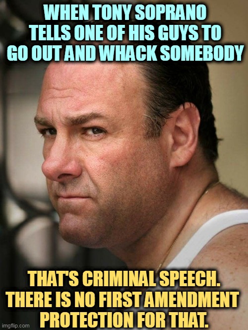 Criminal conspiracy | WHEN TONY SOPRANO TELLS ONE OF HIS GUYS TO GO OUT AND WHACK SOMEBODY; THAT'S CRIMINAL SPEECH. THERE IS NO FIRST AMENDMENT 
PROTECTION FOR THAT. | image tagged in donald trump,that's how mafia works,criminal,conspiracy | made w/ Imgflip meme maker