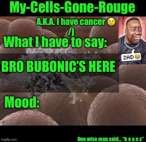 SHE HACKED KYSDAWG | BRO BUBONIC’S HERE | image tagged in my-cells-gone-rouge announcement | made w/ Imgflip meme maker