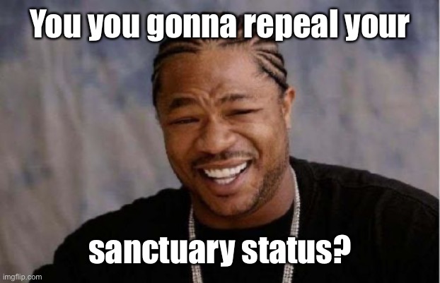 Yo Dawg Heard You Meme | You you gonna repeal your sanctuary status? | image tagged in memes,yo dawg heard you | made w/ Imgflip meme maker