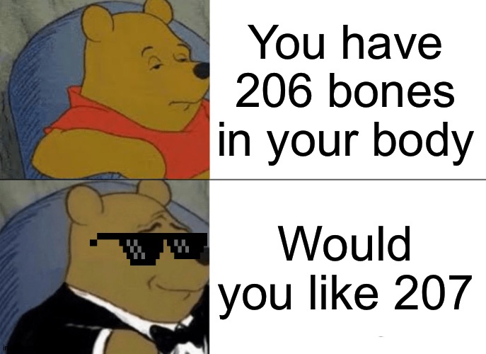 One more bone | You have 206 bones in your body; Would you like 207 | image tagged in memes,tuxedo winnie the pooh | made w/ Imgflip meme maker