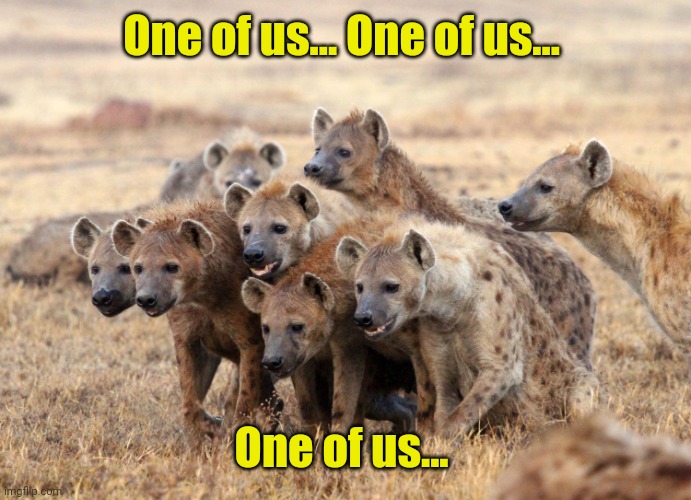 Hungry Hyenas | One of us... One of us... One of us... | image tagged in hungry hyenas | made w/ Imgflip meme maker