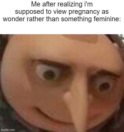 This doesn't change my view on Birds and bees | Me after realizing i'm supposed to view pregnancy as wonder rather than something feminine: | image tagged in gru meme,memes,christian memes | made w/ Imgflip meme maker