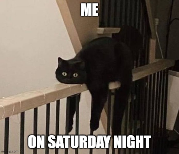 Caturday Night | ME; ON SATURDAY NIGHT | image tagged in caturday,saturday,funny cats,cats | made w/ Imgflip meme maker