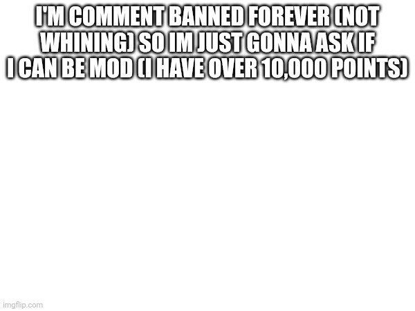 I'M COMMENT BANNED FOREVER (NOT WHINING) SO IM JUST GONNA ASK IF I CAN BE MOD (I HAVE OVER 10,000 POINTS) | made w/ Imgflip meme maker