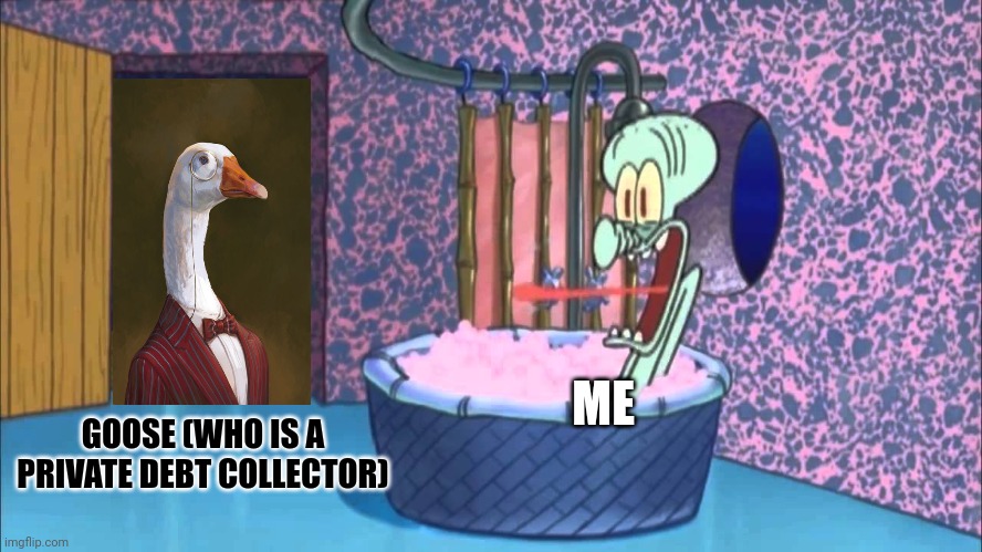 That goose is a private debt collector | ME; GOOSE (WHO IS A PRIVATE DEBT COLLECTOR) | image tagged in who dropped by squidward's house | made w/ Imgflip meme maker