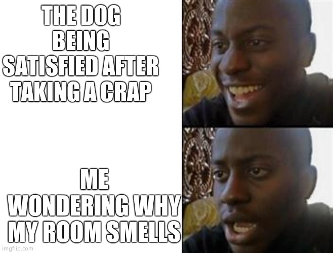She went out 1 minute ago | THE DOG BEING SATISFIED AFTER TAKING A CRAP; ME WONDERING WHY MY ROOM SMELLS | image tagged in happy to sad,dog | made w/ Imgflip meme maker