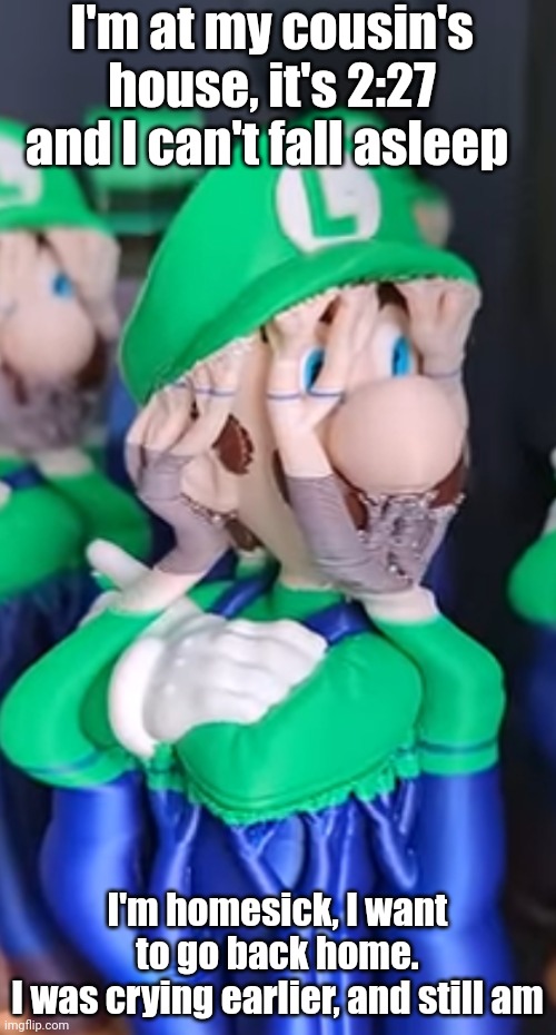 My nose is very snotty, and I grew more depressed | I'm at my cousin's house, it's 2:27 and I can't fall asleep; I'm homesick, I want to go back home.
I was crying earlier, and still am | image tagged in eldritch luigi | made w/ Imgflip meme maker