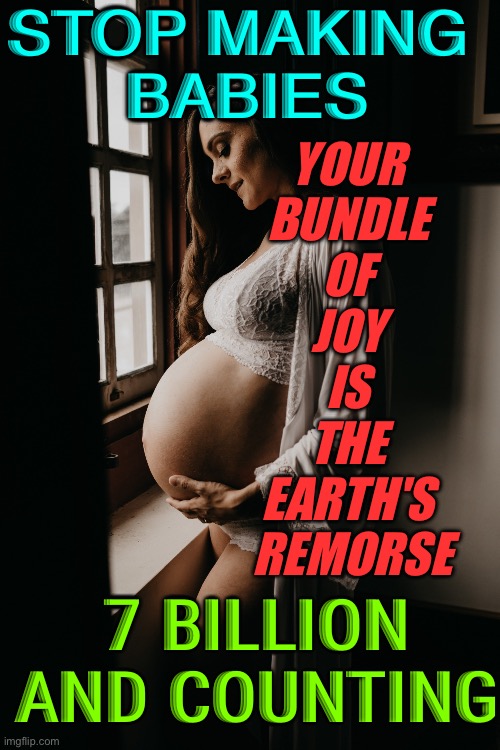 YOUR BUNDLE OF JOY | STOP MAKING 
BABIES; YOUR 
BUNDLE 
OF 
JOY 
IS 
THE 
EARTH'S 
REMORSE; 7 BILLION AND COUNTING | image tagged in overpopulation | made w/ Imgflip meme maker