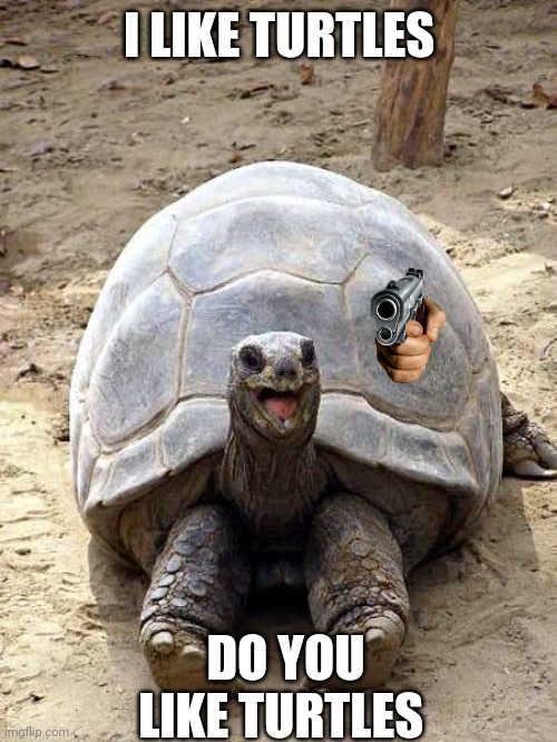 Wow turtle | I LIKE TURTLES; DO YOU LIKE TURTLES | image tagged in smiling happy excited tortoise,memes,i like turtles,memez | made w/ Imgflip meme maker