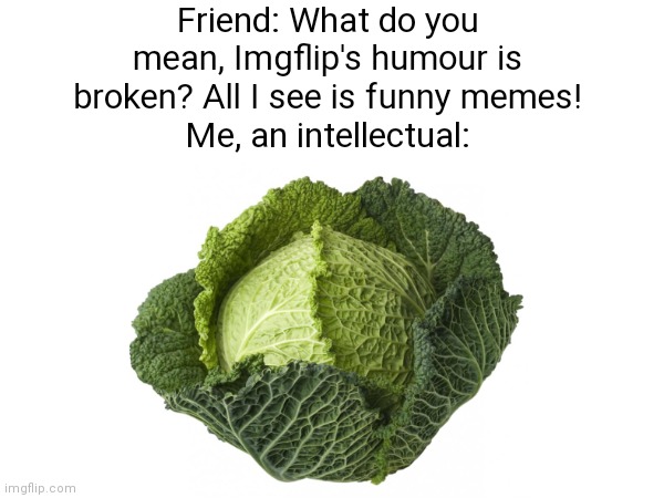 Remember the vegetable trends? Good times, good times. | Friend: What do you mean, Imgflip's humour is broken? All I see is funny memes!
Me, an intellectual: | image tagged in cabbage,memes,imgflip,why are you reading the tags | made w/ Imgflip meme maker