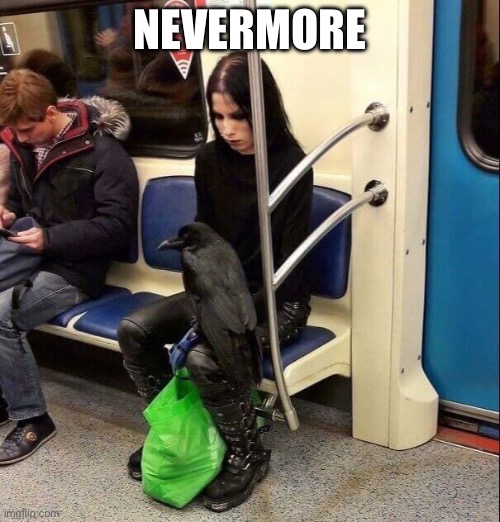 Nevermore | NEVERMORE | image tagged in raven | made w/ Imgflip meme maker