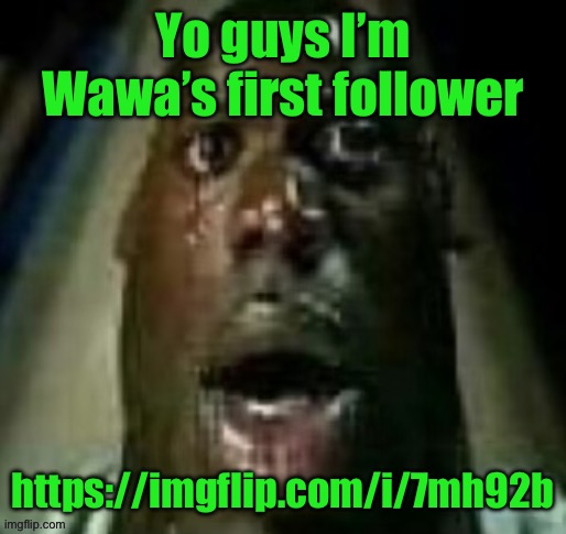 terror | Yo guys I’m Wawa’s first follower; https://imgflip.com/i/7mh92b | image tagged in terror | made w/ Imgflip meme maker