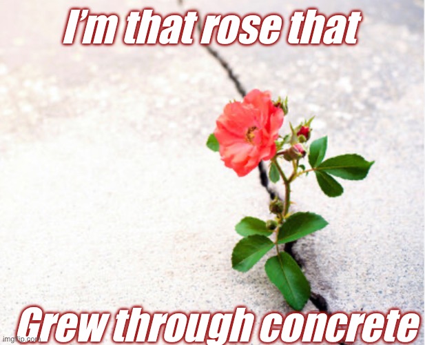 Da come up | I’m that rose that; Grew through concrete | image tagged in brace yourselves x is coming | made w/ Imgflip meme maker