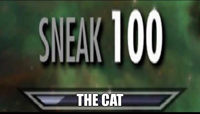 Sneak 100 | THE CAT | image tagged in sneak 100 | made w/ Imgflip meme maker