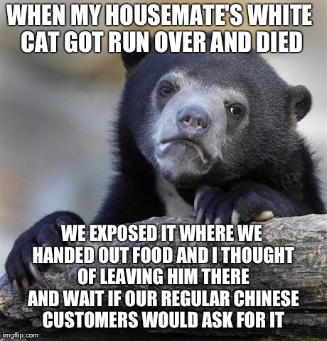 Confession Bear Meme | WHEN MY HOUSEMATE'S WHITE CAT GOT RUN OVER AND DIED WE EXPOSED IT WHERE WE HANDED OUT FOOD AND I THOUGHT OF LEAVING HIM THERE AND WAIT IF OU | image tagged in memes,confession bear | made w/ Imgflip meme maker