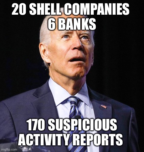 Joe Biden | 20 SHELL COMPANIES 
6 BANKS 170 SUSPICIOUS ACTIVITY REPORTS | image tagged in joe biden | made w/ Imgflip meme maker