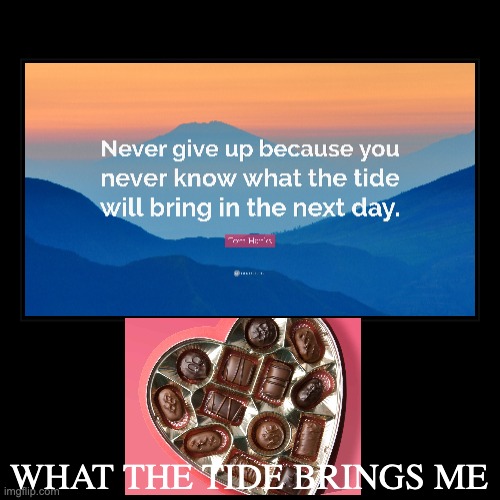 WHAT THE TIDE BRINGS ME | image tagged in funny,demotivationals | made w/ Imgflip demotivational maker