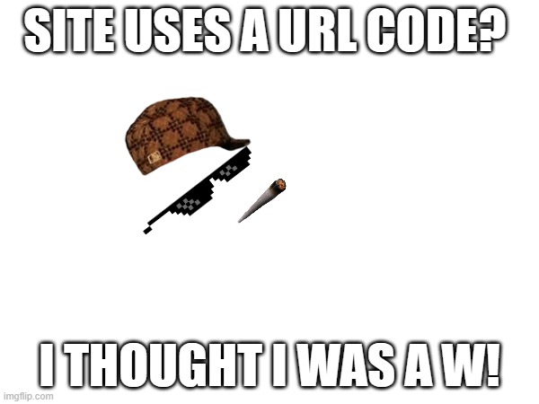 sorry no title | SITE USES A URL CODE? I THOUGHT I WAS A W! | image tagged in no tags | made w/ Imgflip meme maker