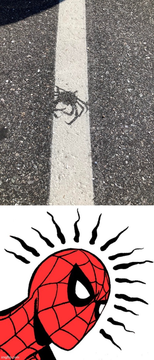 *sees road paint job fail looking like a crab or a spider* Spider-Man's senses tingling | image tagged in spider sense,you had one job,road,paint,memes,crab | made w/ Imgflip meme maker