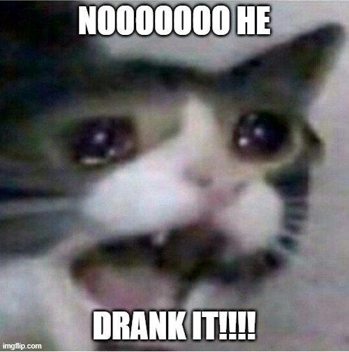 crying cat | NOOOOOOO HE DRANK IT!!!! | image tagged in crying cat | made w/ Imgflip meme maker