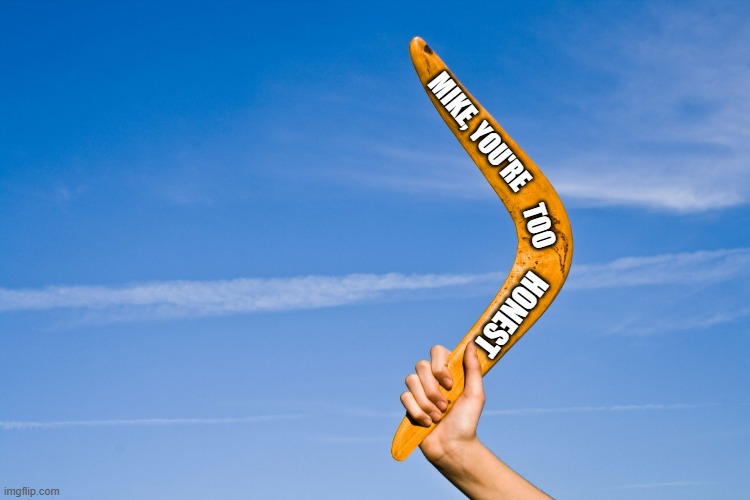 boomerang | MIKE, YOU'RE TOO HONEST | image tagged in boomerang | made w/ Imgflip meme maker