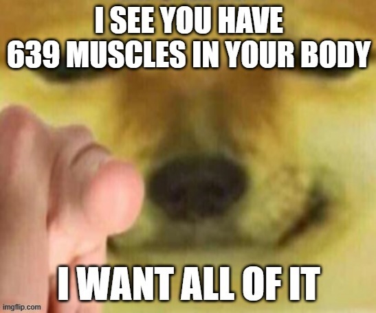 you do have 639 | image tagged in you have 639 muscles,memes | made w/ Imgflip meme maker