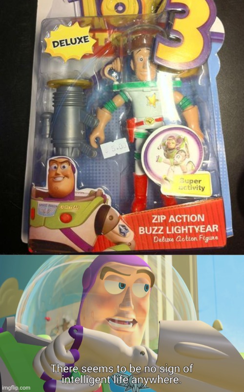 Woody | image tagged in there seems to be no sign of intelligent life anywhere,toy story 3,buzz lightyear,woody,you had one job,memes | made w/ Imgflip meme maker