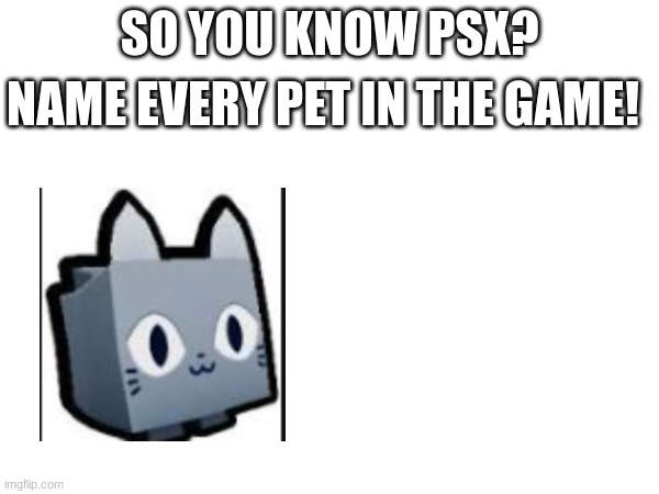 Pwease preston, Pwease | NAME EVERY PET IN THE GAME! SO YOU KNOW PSX? | image tagged in pet simulator x | made w/ Imgflip meme maker