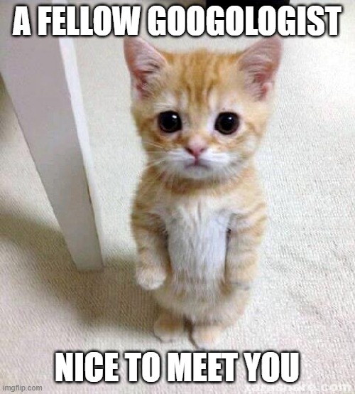 Cute Cat Meme | A FELLOW GOOGOLOGIST NICE TO MEET YOU | image tagged in memes,cute cat | made w/ Imgflip meme maker