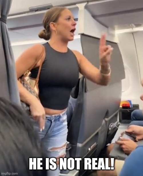 Plane Lady Not Real | HE IS NOT REAL! | image tagged in plane lady not real | made w/ Imgflip meme maker