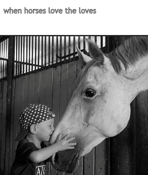sharing the love | when horses love the loves | image tagged in memes,middle school,horses | made w/ Imgflip meme maker