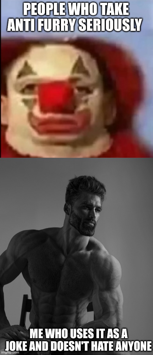 PEOPLE WHO TAKE ANTI FURRY SERIOUSLY; ME WHO USES IT AS A JOKE AND DOESN'T HATE ANYONE | image tagged in clown face,giga chad | made w/ Imgflip meme maker