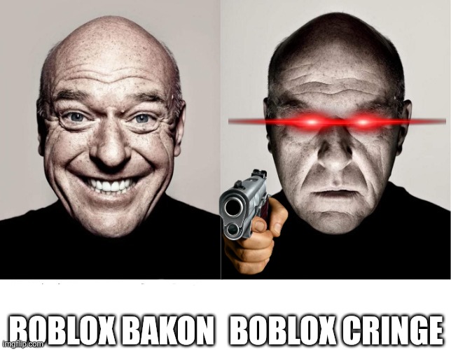 breaking bad smile frown | BOBLOX BAKON; BOBLOX CRINGE | image tagged in breaking bad smile frown,kaka v420 | made w/ Imgflip meme maker