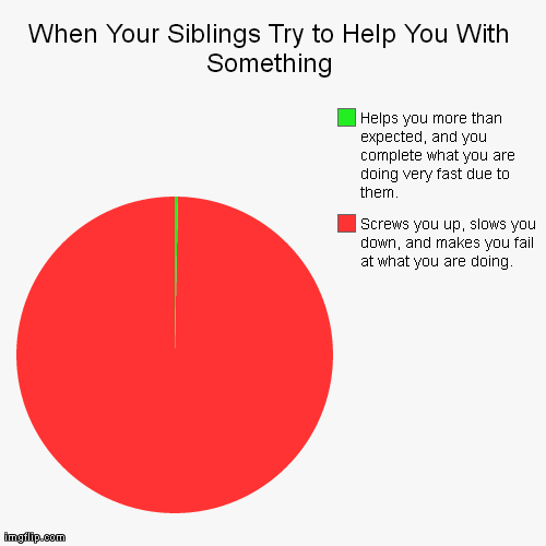 When Your Siblings Try to Help You With Something Pie Chart | image tagged in funny,pie charts,annoying,screw up,fails,wtf | made w/ Imgflip chart maker