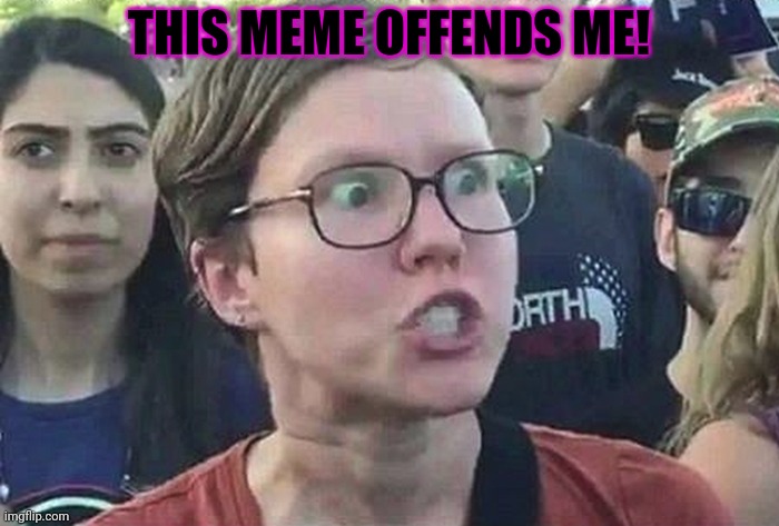 Triggered Liberal | THIS MEME OFFENDS ME! | image tagged in triggered liberal | made w/ Imgflip meme maker