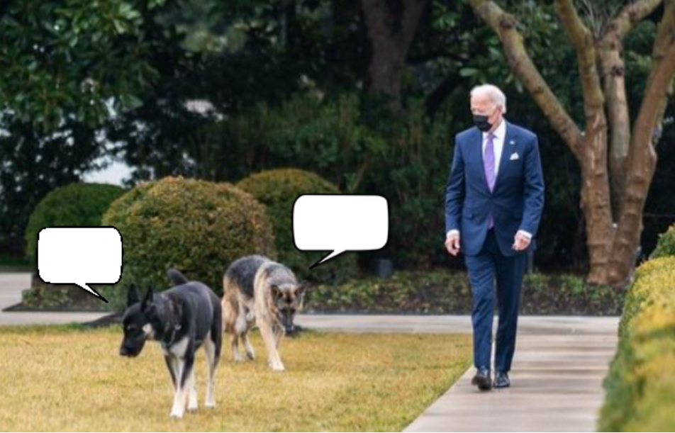 High Quality Biden dogs Blank Meme Template