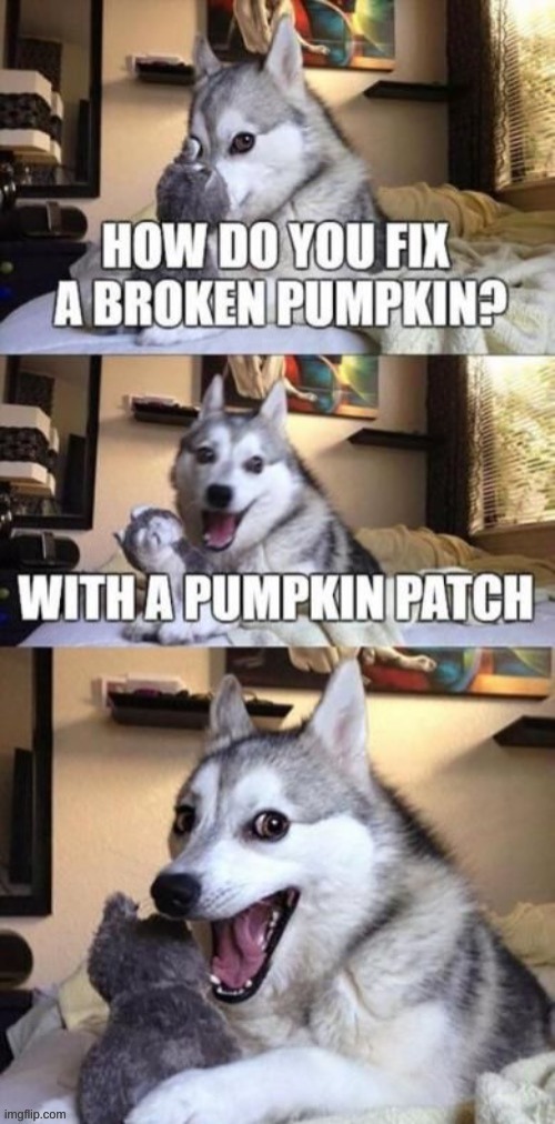 image tagged in memes | made w/ Imgflip meme maker